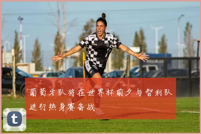 葡萄牙队将在世界杯前夕与智利队进行热身赛备战